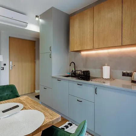 Górskie Szczyty Apart&spa 10 Sauna Jacuzzi I Parking W Cenie * Zakopane